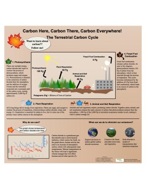 Anya Kazanjian - Carbon Cycle Poster Final