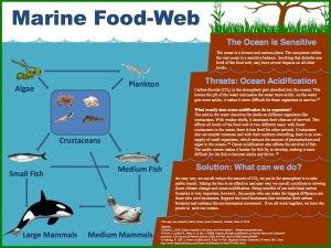 Final Presentation Ricky